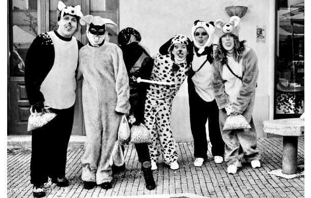 2015, Domenica 1 Febbraio - Cani che non abbaiano