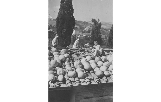 1948 - Bambini che giocano sul tetto delle zucche