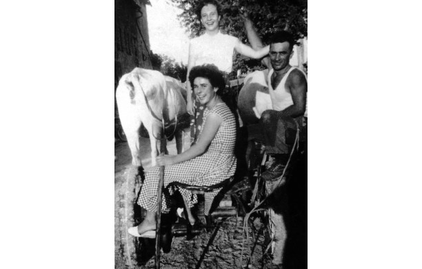 1959 - Donne e Buoi di Segale