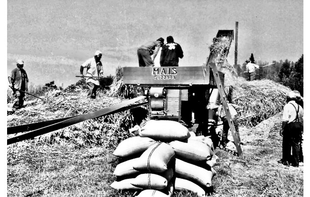 1999, Agosto - Tribbiatura nel campino di calcio della Pievina