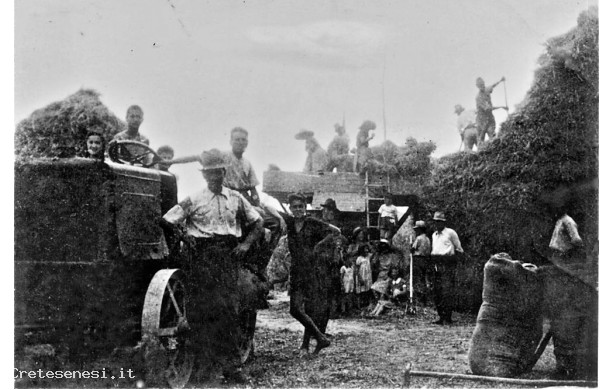 1955 ? - Tribbiatura a Monterongriffoli