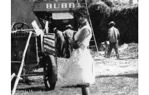 1953 - Civetterie durante la tribbiatura