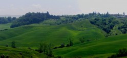 Il castello ed il borgo immersi nel verde
