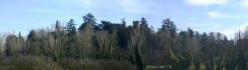 Vista panoramica con il bosco dalla strada per Bibbiano