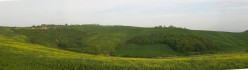 Poderi sul clinale