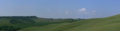 Le sfumature del verde