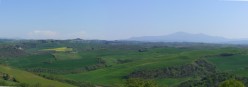 Un mare verde con sullo sfondo la sagoma inconfondibile del Monte Amiata