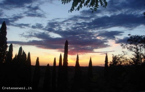 Una vecchia strada tra i boschi