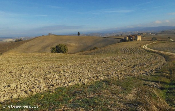 Ancient driveway for Serre of Rapolano