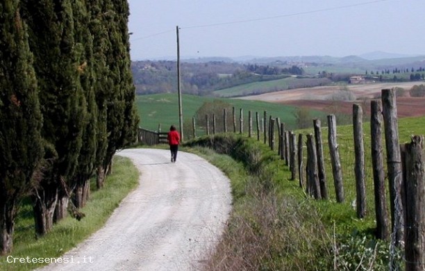 Cuna, Radi e dintorni