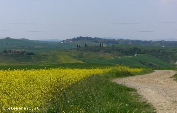 Valle dell'Ombrone, Fornace dei Poggetti, Casella, La Costa