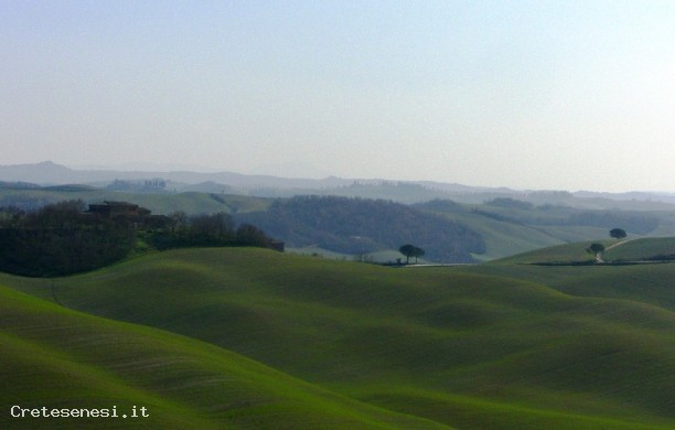 Overview of Siena froom Camposodo and Medane