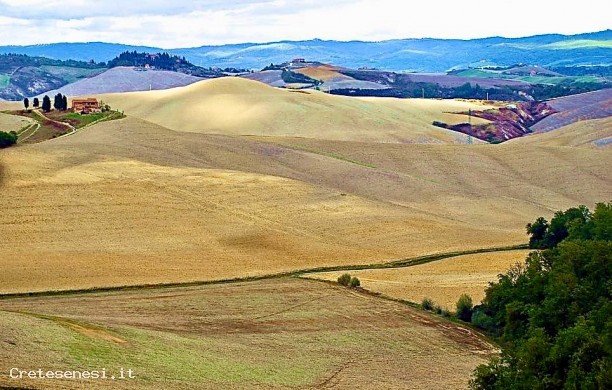 Tour from Ombrone to Badia Rofeno