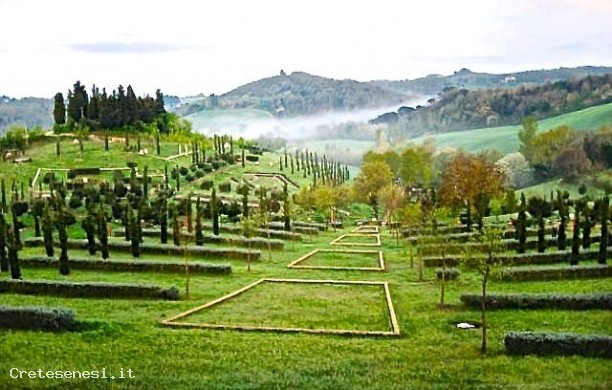 Bosco della Ragnaia