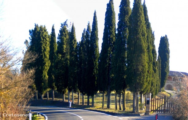 Strada provinciale della Campana da Monteroni ad Asciano
