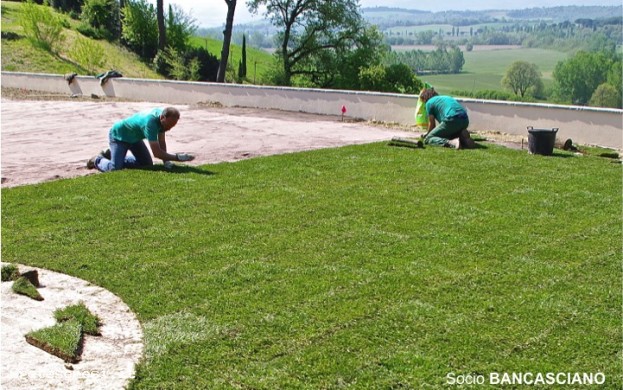 IL GRILLO VERDE S.N.C. di Farnetani Valentino e Paolo Alessa