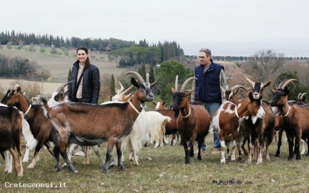 AZIENDA AGRICOLA BIOLOGICA SANTA MARGHERITA