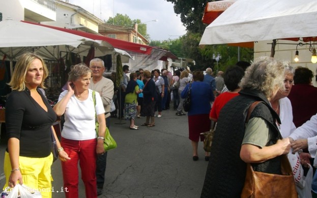 Mercato settimanale di Asciano