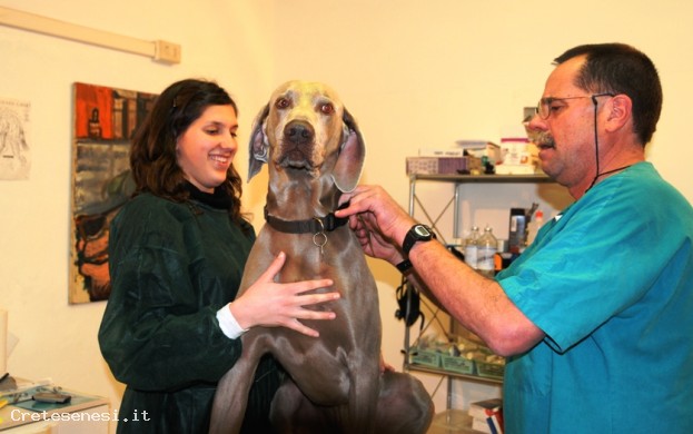 Veterinario Dr. Marco Pellegrini