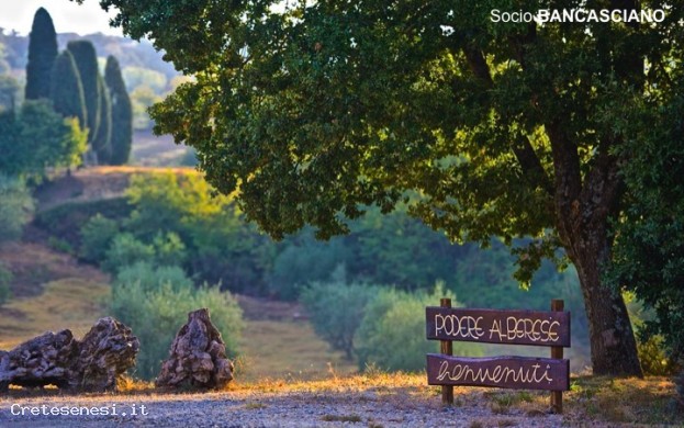 Podere ALBERESE - Az. agraria e agriturismo