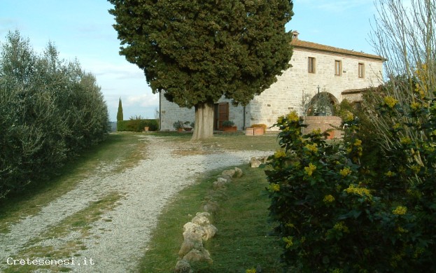 FATTORIA LA CANONICA