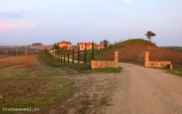 FATTORIA DI CORSANO